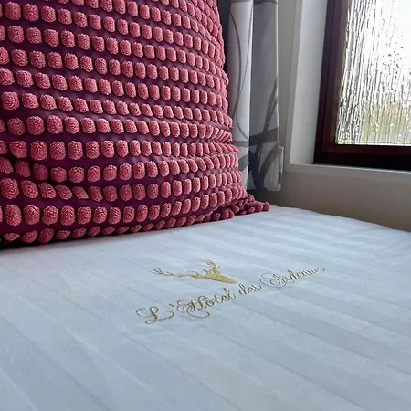 Des Ardennes Hotel 2*