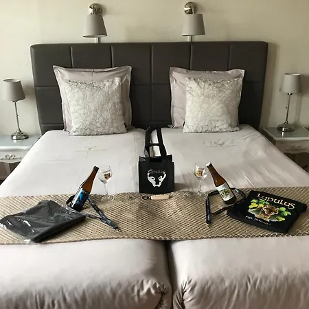 Des Ardennes Verviers